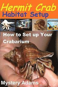 bokomslag Hermit Crab Habitat Setup: Hermit Crab care and Habitat Set-up