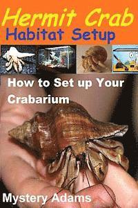 Hermit Crab Habitat Setup: Hermit Crab care and Habitat Set-up 1