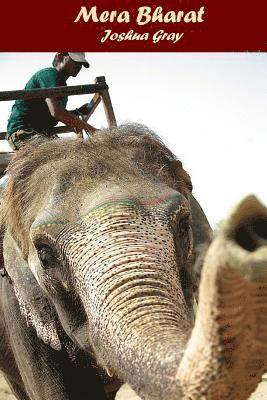 Joshua Gray - Mera Bharat, Häftad