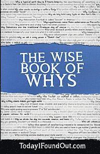 bokomslag The Wise Book of Whys