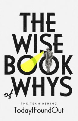 bokomslag Wise Book of Whys