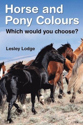 bokomslag Horse and Pony Colours: Which one would you choose?