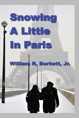 bokomslag Snowing a Little In Paris