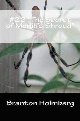 bokomslag #22 "The Secret of Merlin's Shroud": Sam 'n Me(TM) adventure books