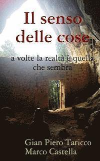 bokomslag Il senso delle cose: a volte la realta' e' quella che sembra