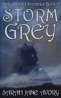 bokomslag Storm Grey