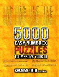 bokomslag 5000 Easy Numbrex Puzzles to Improve Your IQ