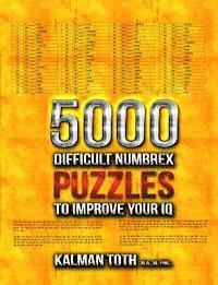 bokomslag 5000 Difficult Numbrex Puzzles to Improve Your IQ