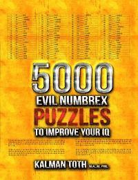 bokomslag 5000 Evil Numbrex Puzzles to Improve Your IQ