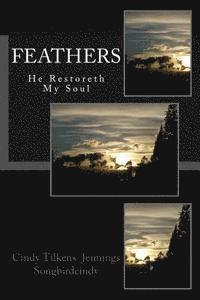Cindy Tilkens Jennings - Feathers: He Restoreth My Soul, Häftad