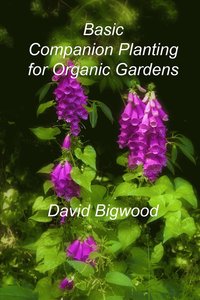 bokomslag Basic Companion Planting for Organic Gardens