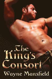 bokomslag King's Consort