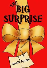 bokomslag The Big Surprise