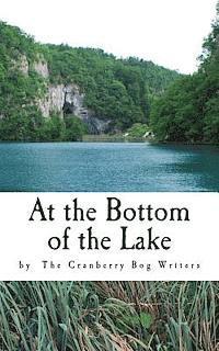 bokomslag At the Bottom of the Lake