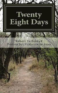 bokomslag Twenty Eight Days: A Journey Within