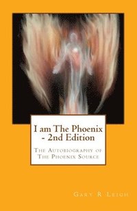 bokomslag I am the phoenix