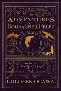 bokomslag The Adventures of Bouragner Felpz, Volume I: A Study of Magic