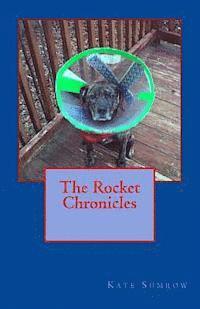 bokomslag The Rocket Chronicles