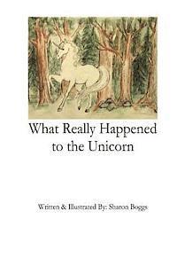 bokomslag What Really Happened to the Unicorn