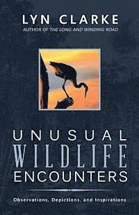 bokomslag Unusual Wildlife Encounters: Observations, Depictions, and Inspirations