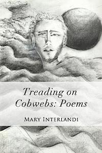 bokomslag Treading on Cobwebs: Poems