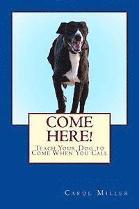 bokomslag Come Here!: Teach Your Dog to Come When You Call