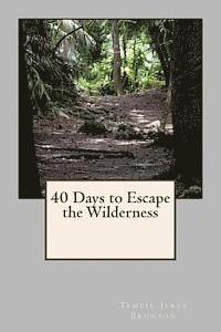 bokomslag 40 Days to Escape the Wilderness