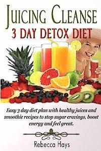 bokomslag Juicing Cleanse 3 Day Detox Diet: Easy 3 Day Diet Plan with Healthy Juices and Smoothie Recipes to Stop Sugar Cravings, Boost Energy and Feel Great