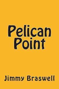 bokomslag Pelican Point