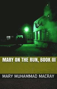 bokomslag Mary On The Run: Book III