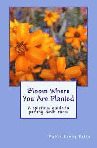 bokomslag Bloom Where You Are Planted: A spiritual guide to putting down roots