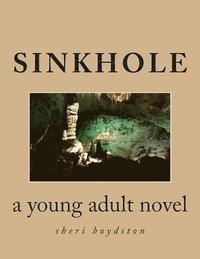 bokomslag Sinkhole: a young adult novel