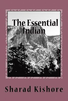 bokomslag The Essential Indian (a simple guide to Hindi words and Hindi culture): Hindi Man