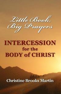 bokomslag Little Book, Big Prayers: Intercession for the Body of Christ