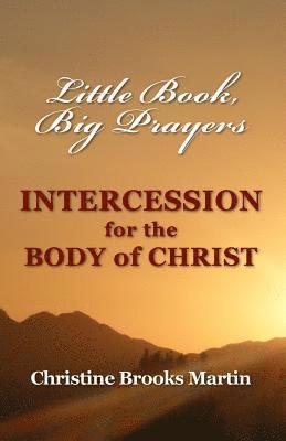 bokomslag Little Book, Big Prayers: Intercession for the Body of Christ