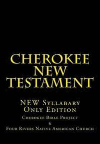 bokomslag Cherokee New Testament