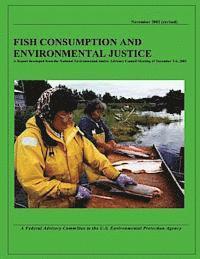 bokomslag Fish Consumption and Environmental Justice