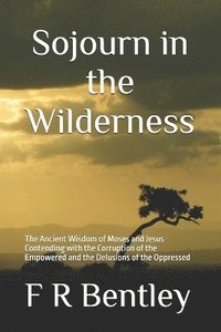 bokomslag Sojourn in the Wilderness