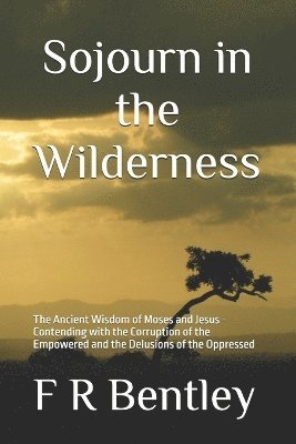 bokomslag Sojourn in the Wilderness