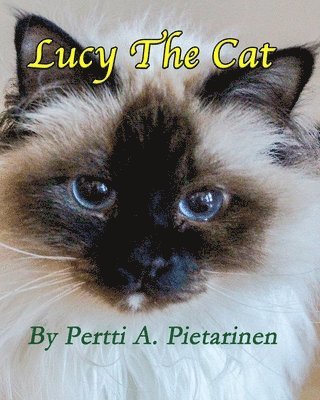 Lucy The Cat 1