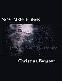 bokomslag November Poems: NaNoWriMo 2013