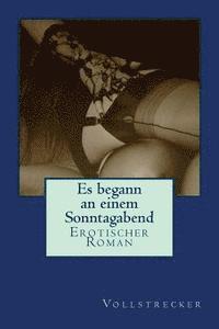 bokomslag Es begann an einem Sonntagabend: Erotischer Roman