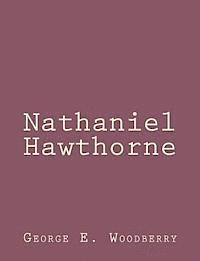 bokomslag Nathaniel Hawthorne