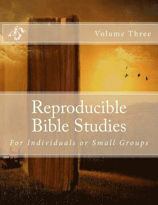 bokomslag Reproducible Bible Studies: Volume Three