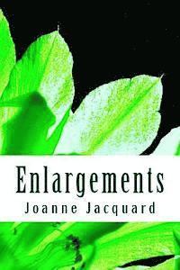 bokomslag Enlargements