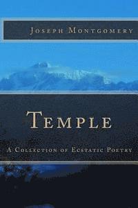 bokomslag Temple: A Collection of Ecstatic Poetry