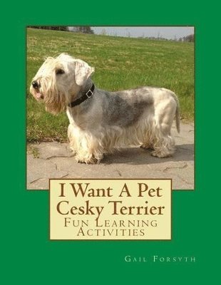 bokomslag I Want A Pet Cesky Terrier