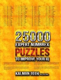 bokomslag 25000 Expert Numbrex Puzzles to Improve Your IQ