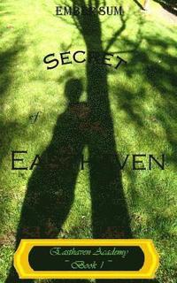 bokomslag Secret of Easthaven