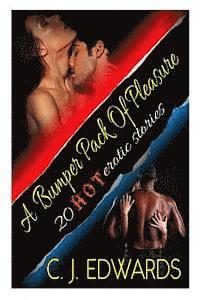 bokomslag A Bumper Pack of Pleasure: 20 Hot Erotic Stories